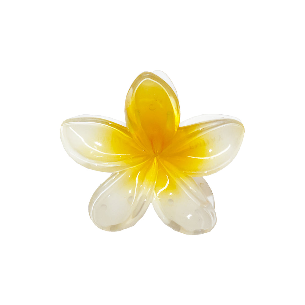 superbloomclipincoconut2